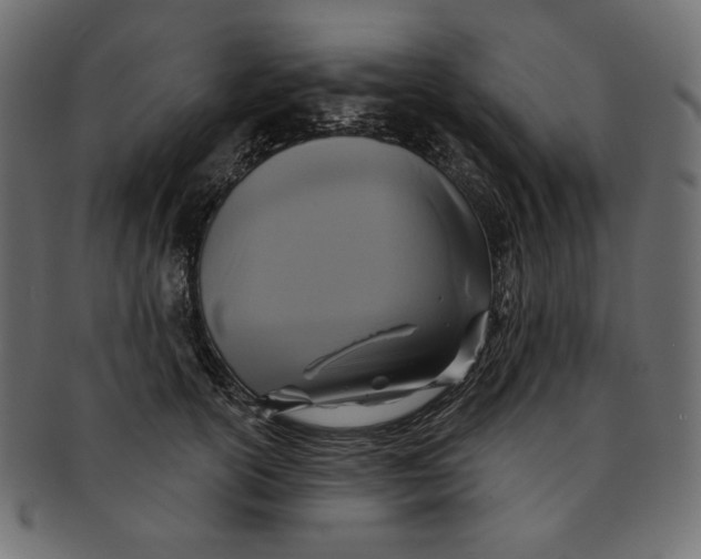 X0000091850754200709261207