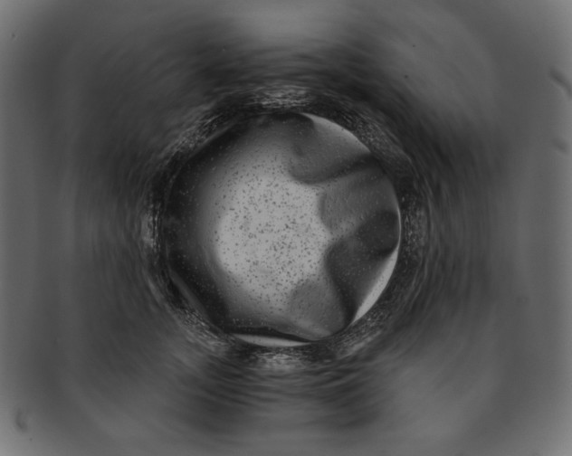 X0000091850755200709261207