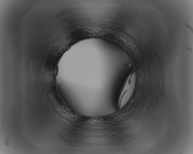 X0000091850756200709261207