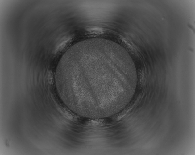 X0000091850758200709261207