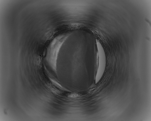 X0000091850759200709261207