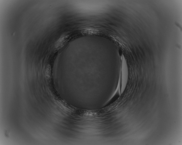 X0000091850760200709261207