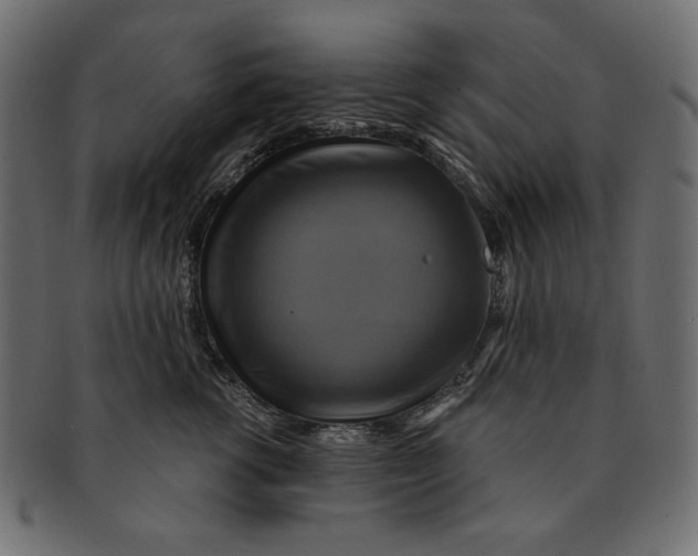 X0000091850762200709261207