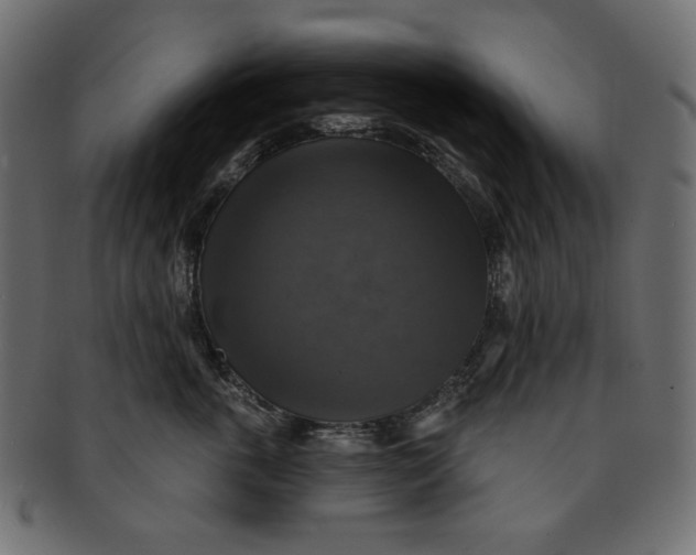 X0000091850763200709261207