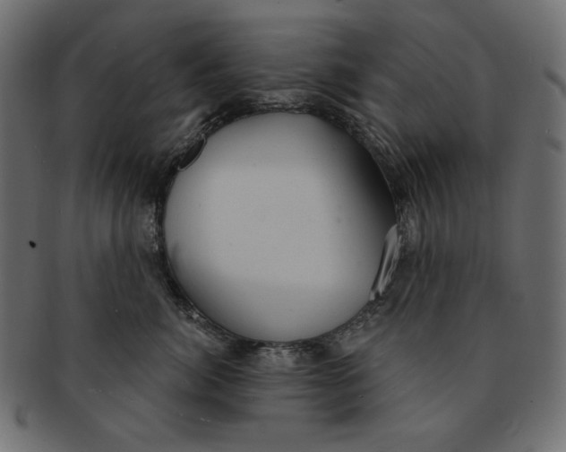 X0000091850764200709261207