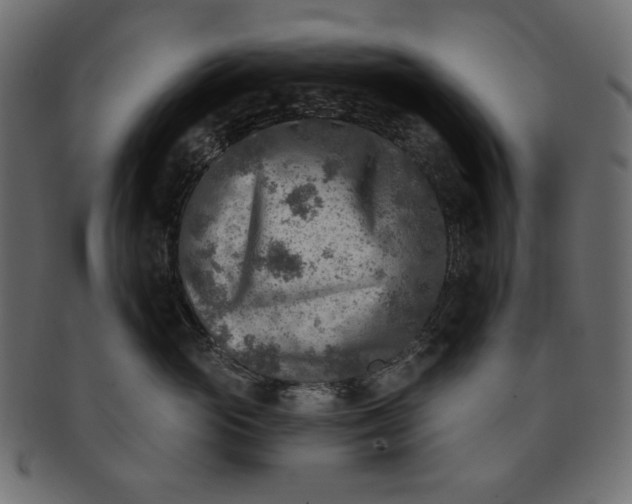 X0000091850765200709261207