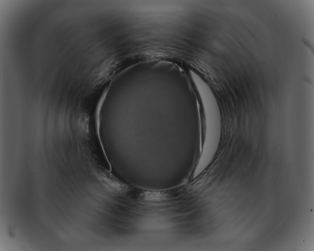 X0000091850766200709261207