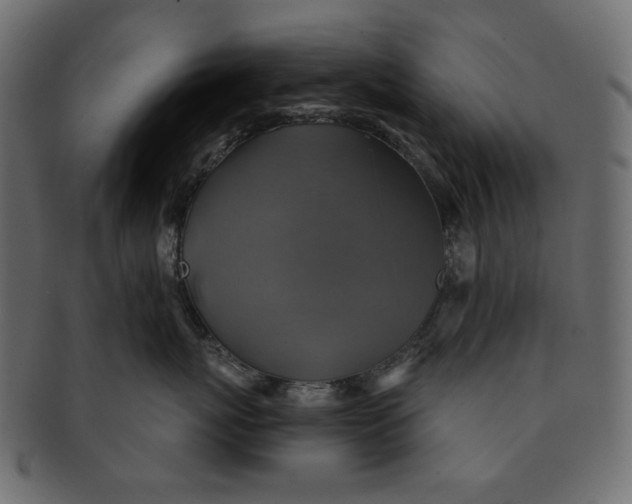 X0000091850767200709261207