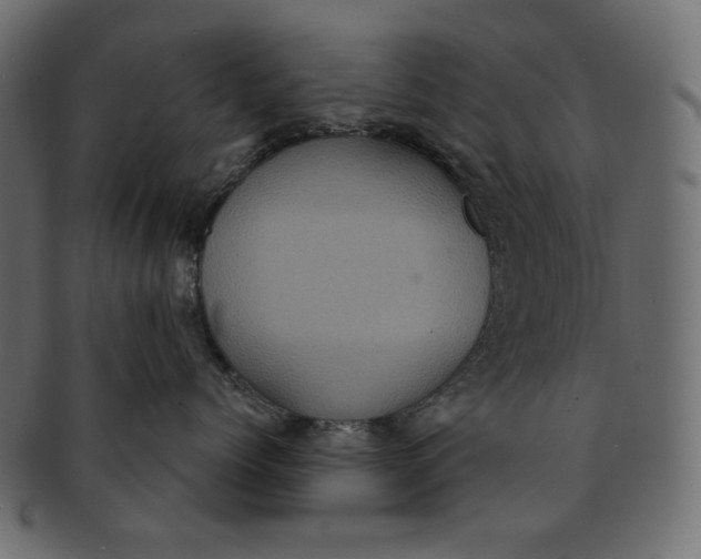 X0000091850768200709261207