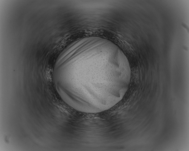 X0000091850770200709261206