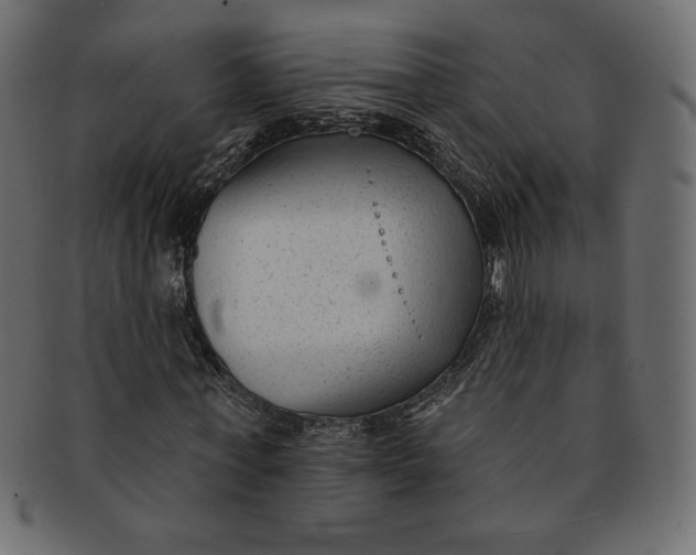 X0000091850771200709261206