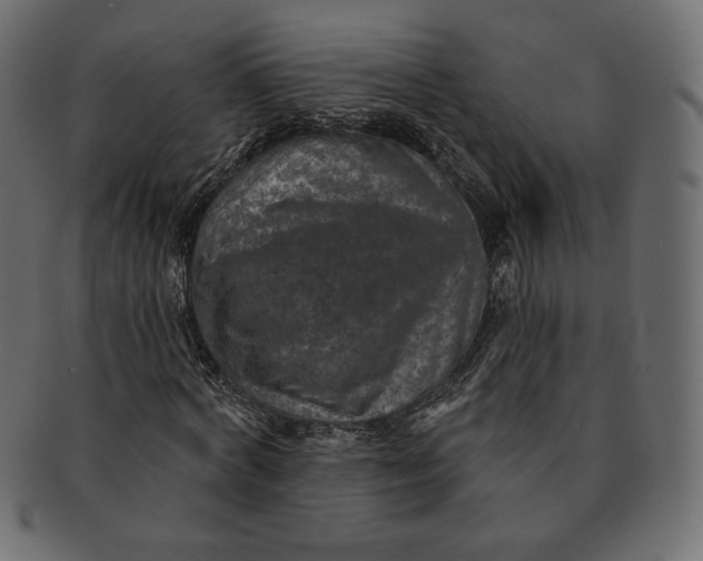 X0000091850772200709261206