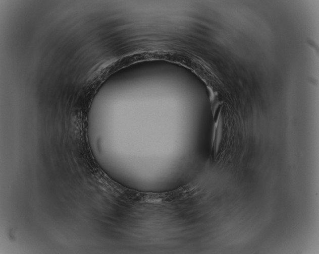 X0000091850773200709261206