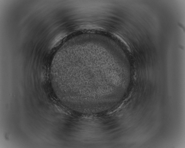 X0000091850775200709261206