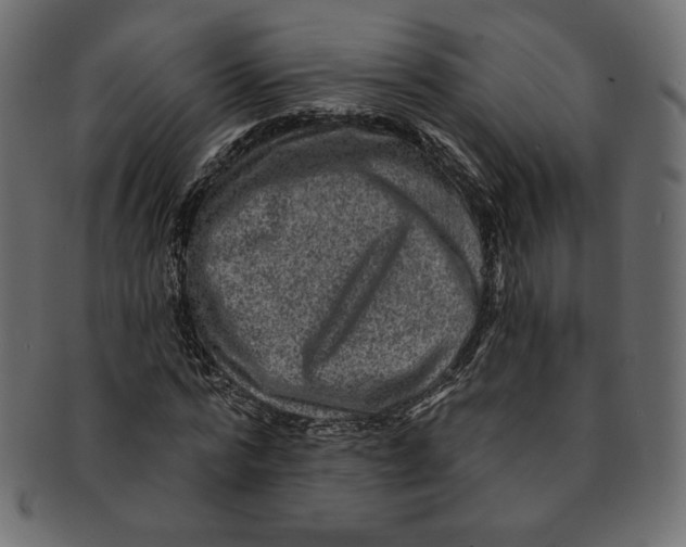 X0000091850776200709261206