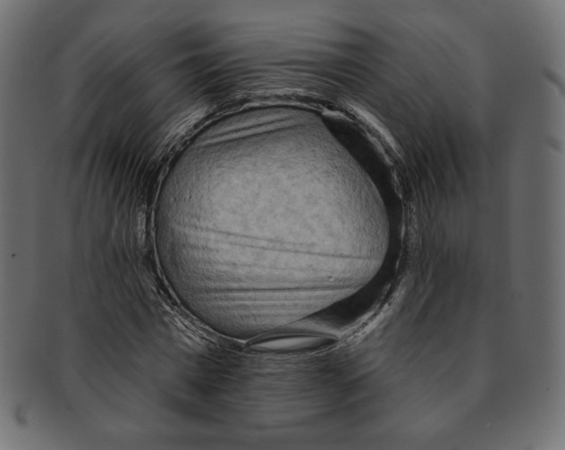 X0000091850777200709261206