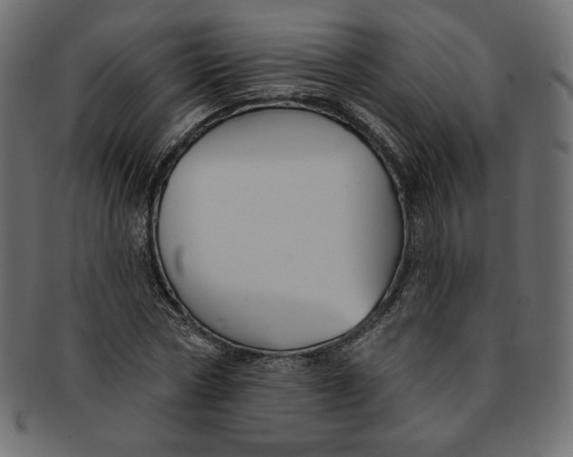 X0000091850778200709261206