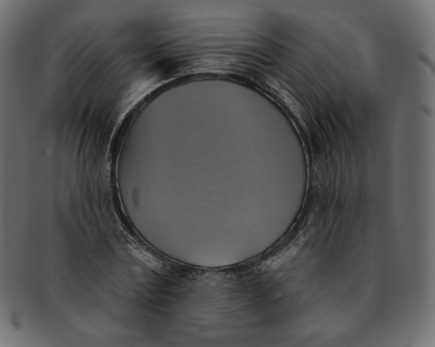 X0000091850779200709261206