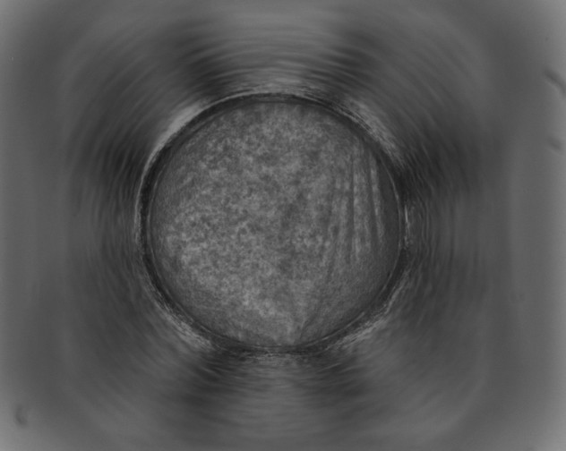 X0000091850780200709261206