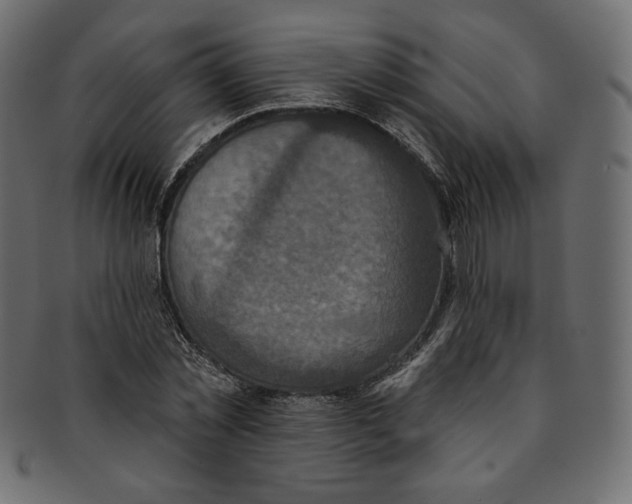 X0000091850781200709261206