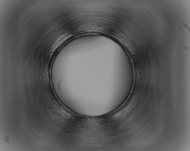 X0000091850782200709261206