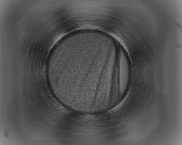 X0000091850783200709261206