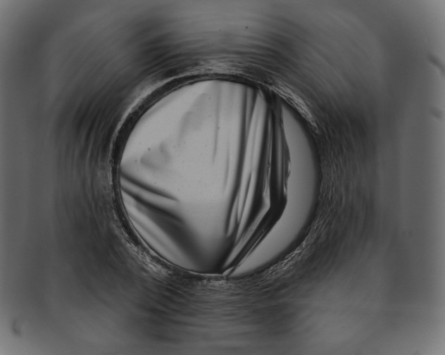 X0000091850784200709261206