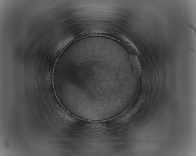 X0000091850785200709261206