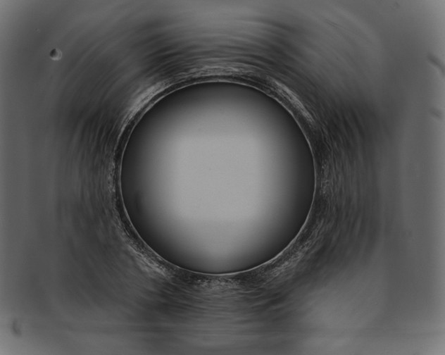 X0000091850786200709261206