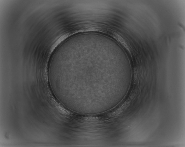 X0000091850789200709261206