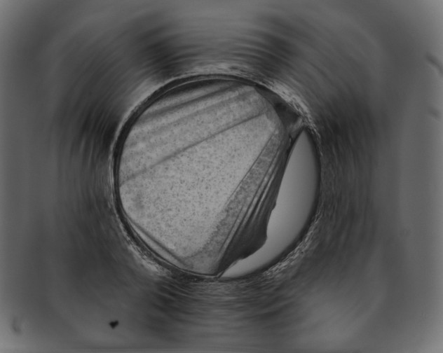 X0000091850792200709261206