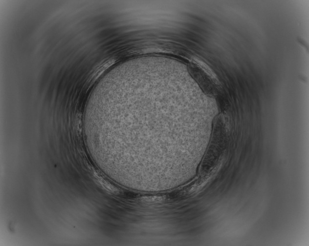 X0000091850793200709261206