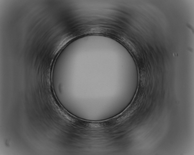 X0000091850794200709261206