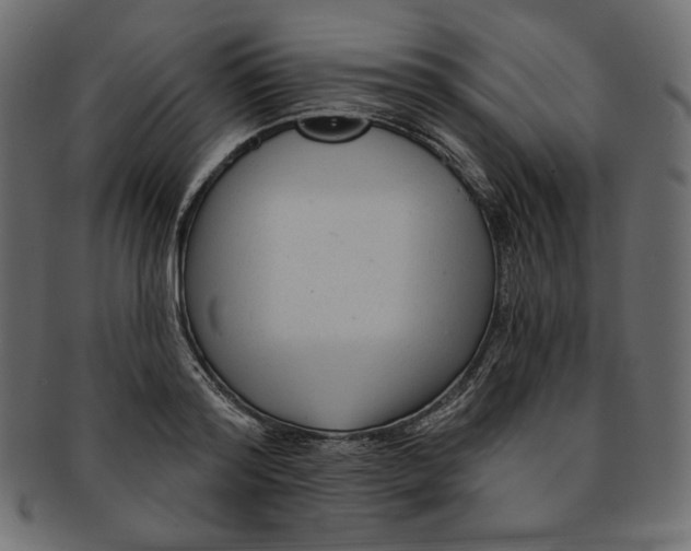 X0000091850796200709261206