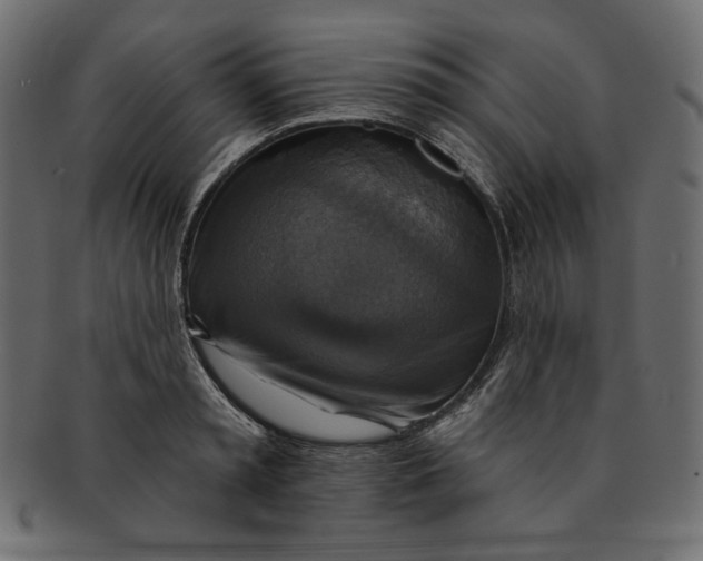 X0000091850797200709261206