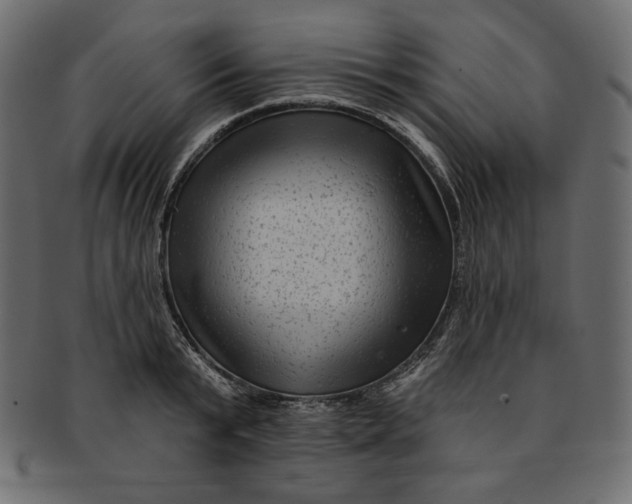 X0000091850799200709261206