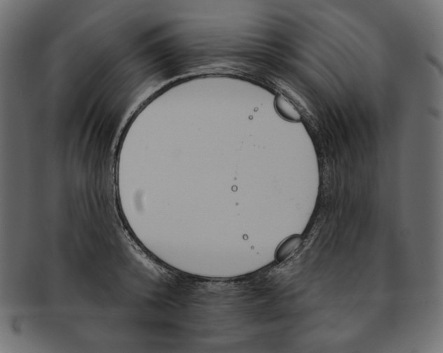 X0000091850800200709261206