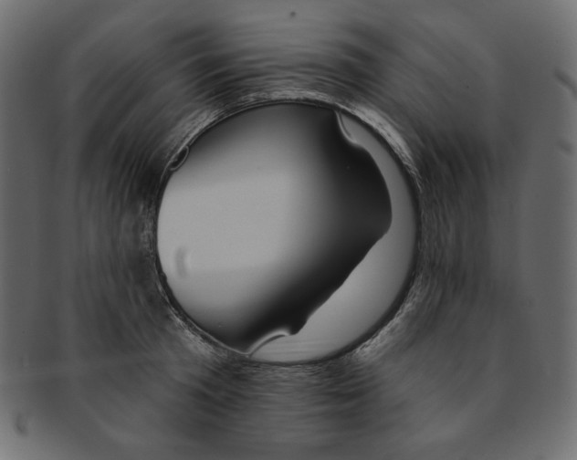 X0000091850801200709261206