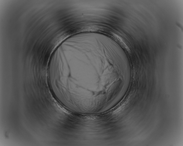 X0000091850802200709261206