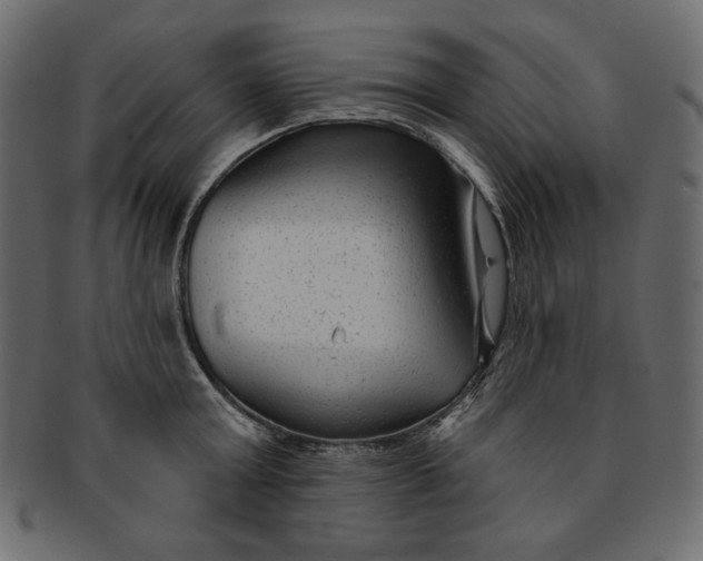 X0000091850803200709261206