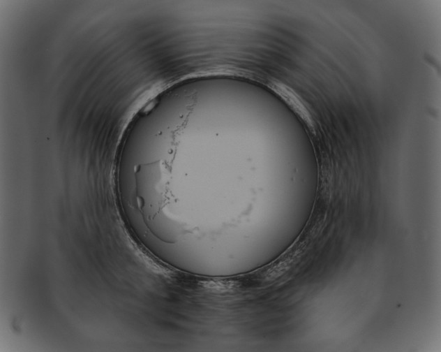 X0000091850805200709261206