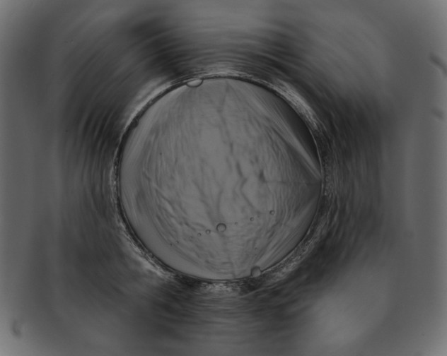 X0000091850806200709261206