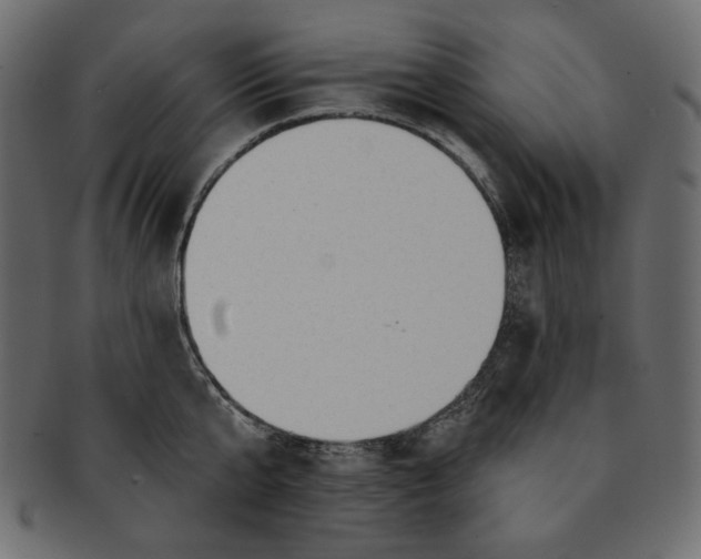 X0000091850807200709261206