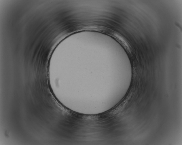 X0000091850808200709261206