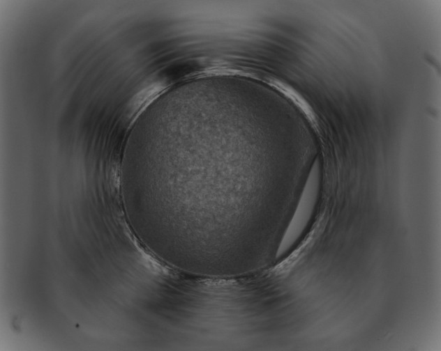 X0000091850809200709261206