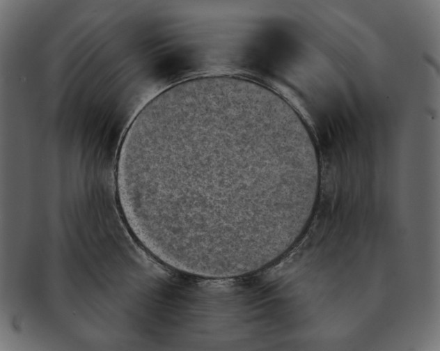 X0000091850810200709261206