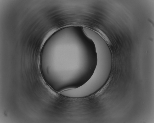 X0000091850812200709261206