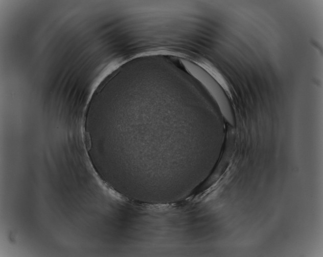 X0000091850813200709261206