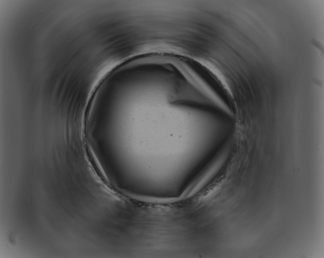 X0000091850815200709261206