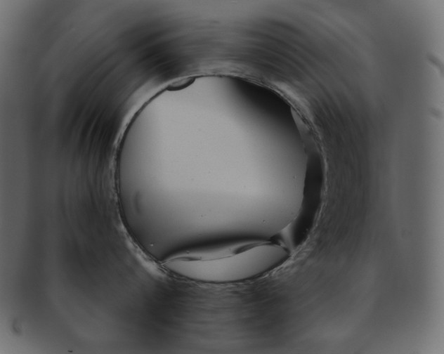 X0000091850816200709261206